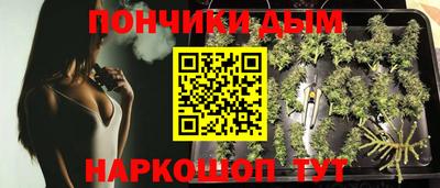 крисы Кинель