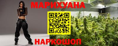 крисы Кинель