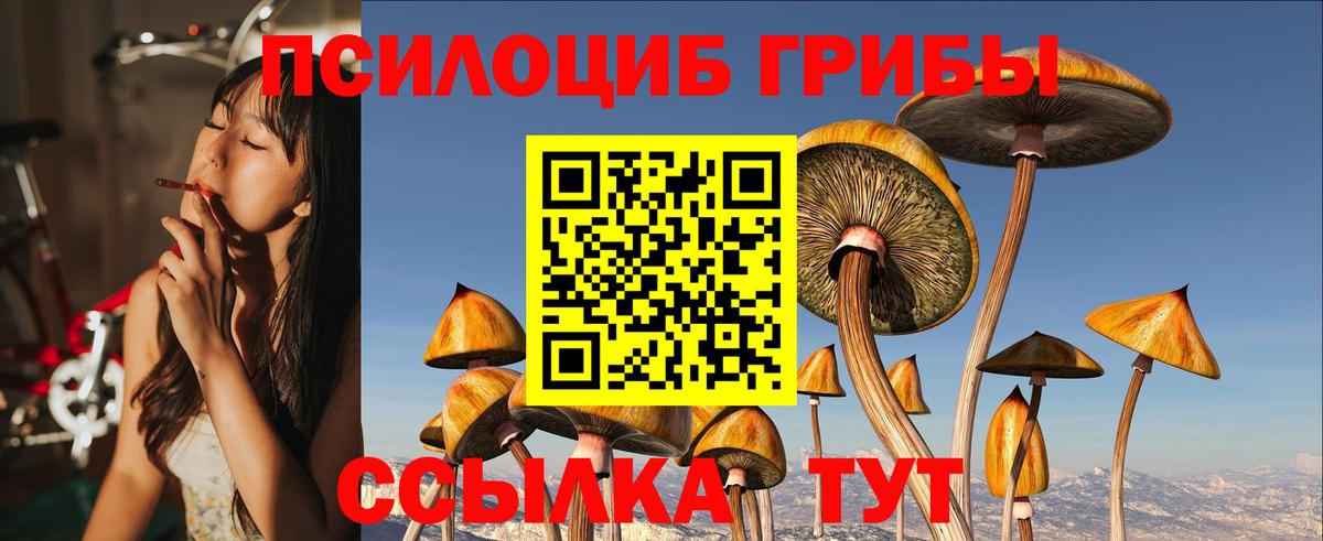 Галлюциногенные грибы Cubensis Красноперекопск