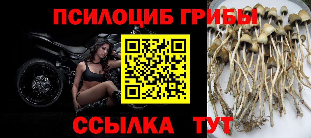 Красноперекопск  Галлюциногенные грибы MAGIC MUSHROOMS  Вход с VPN 